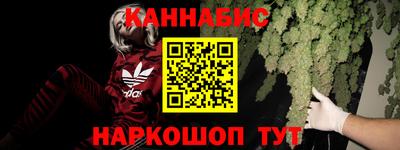 твердый Бердск