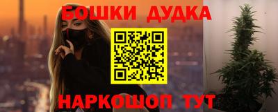твердый Бердск